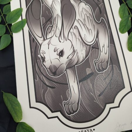 rabbit illustration