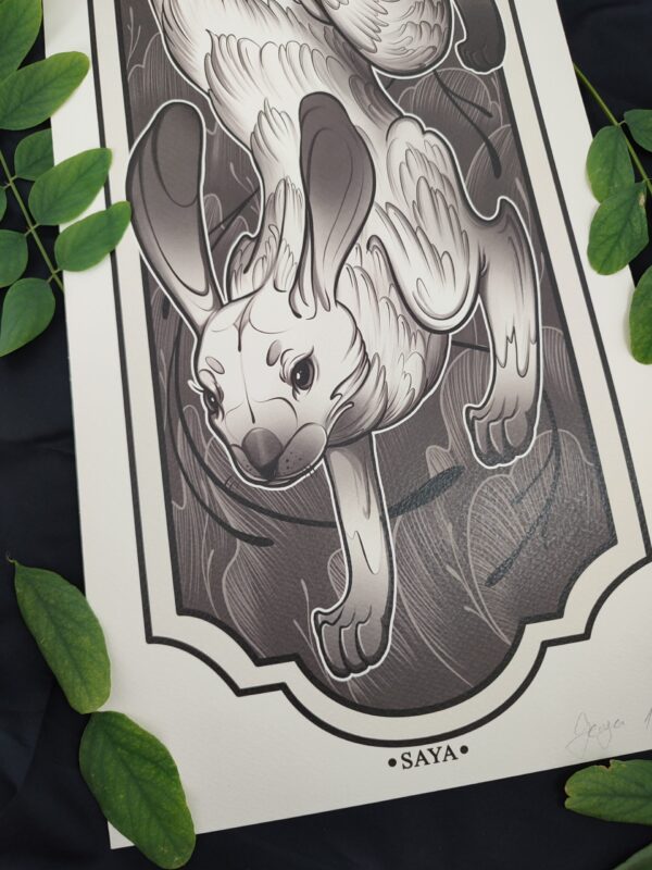 rabbit illustration